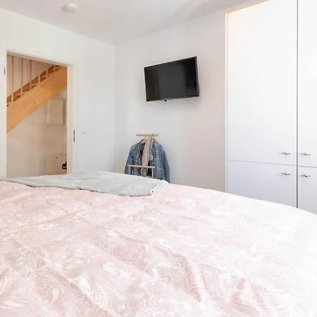 Windfluechter Zingst